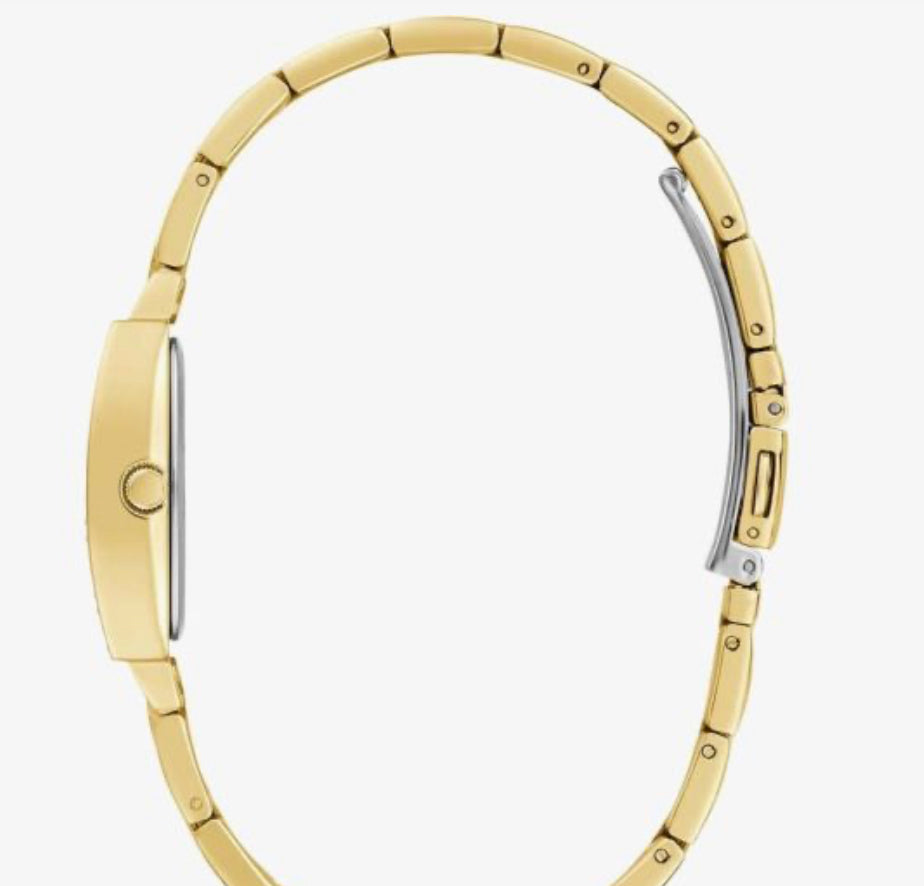 Guess Women’s Orologio Watch GW0611L2