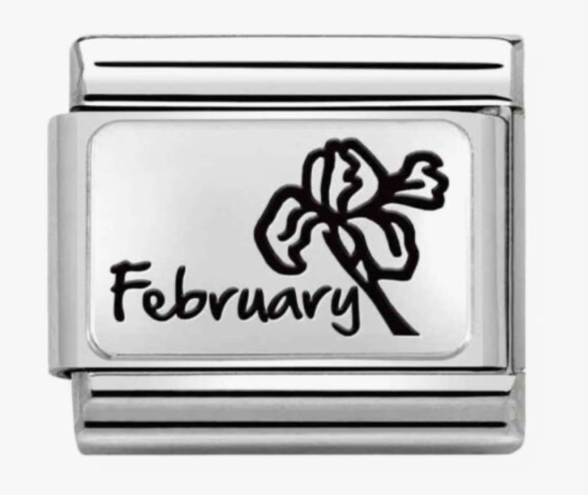 Nomination February Violet Birth Flower Charm 33011214