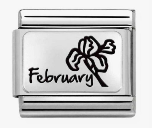 Nomination February Violet Birth Flower Charm 33011214