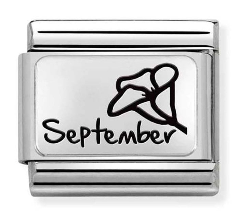 Nomination September Morning Glory Birth Flower Charm 33011221