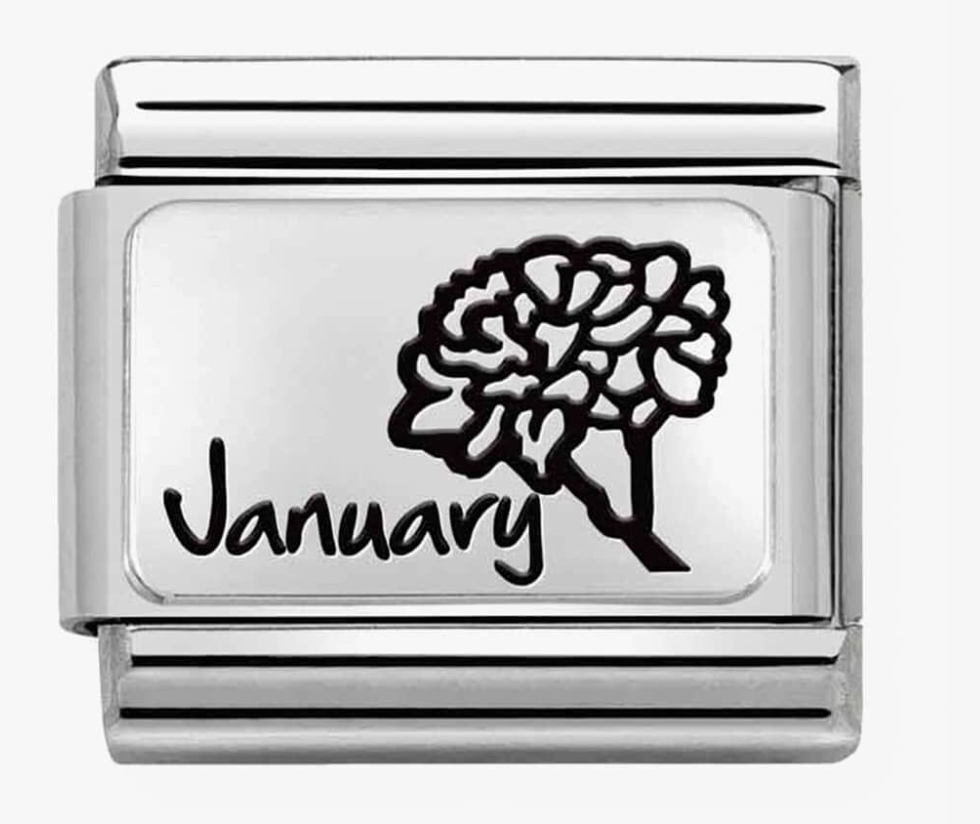 Nomination Classic January Flower Charm 33011213