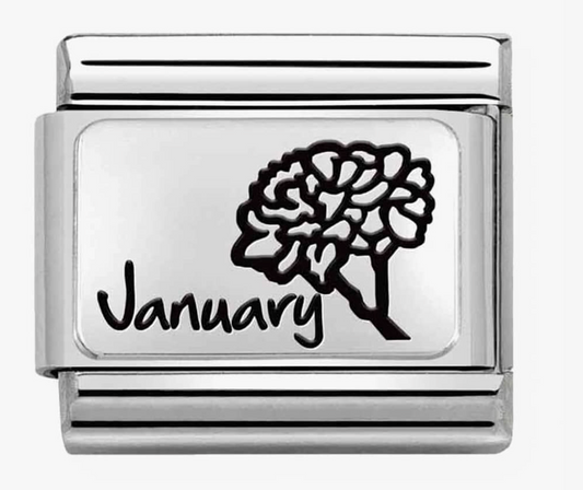 Nomination Classic January Flower Charm 33011213