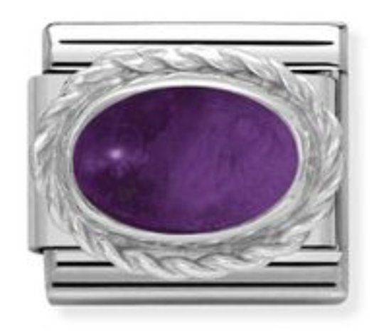 Nomination Silvershine Settings Amethyst Charm Link 33050402